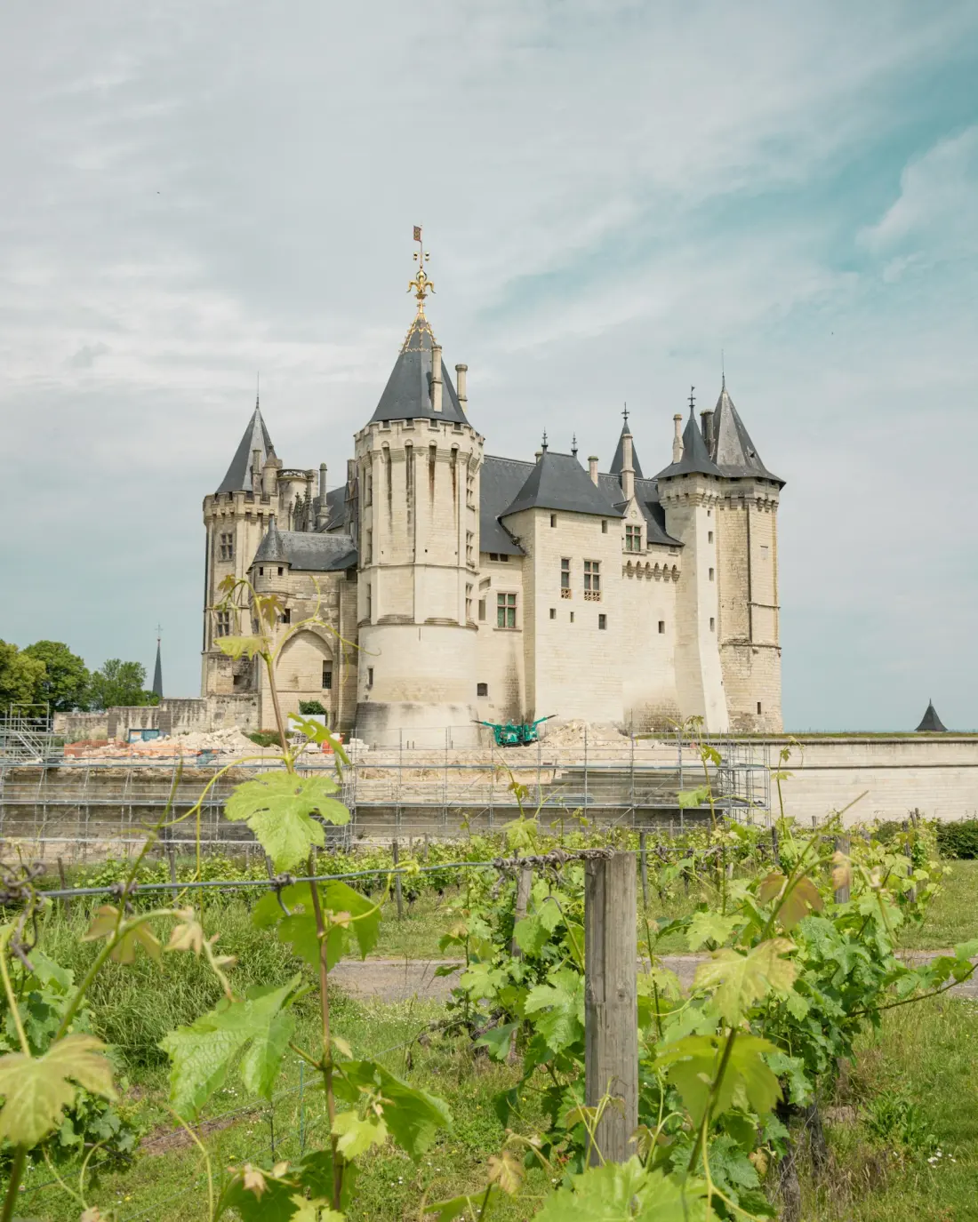 Conciergerie Airbnb Argonne Orléans — Centre historique